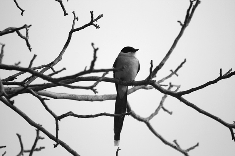 照片 003_副本.jpg