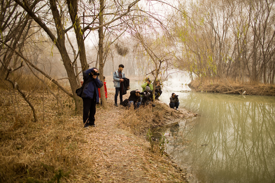 IMG_0750.jpg