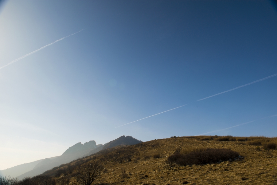 高山草甸 054.jpg
