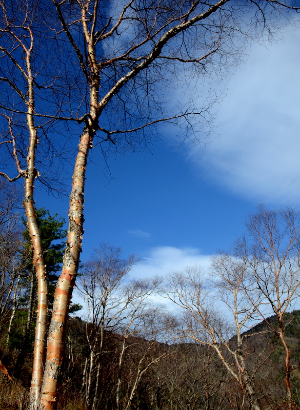 DSC_0617.jpg