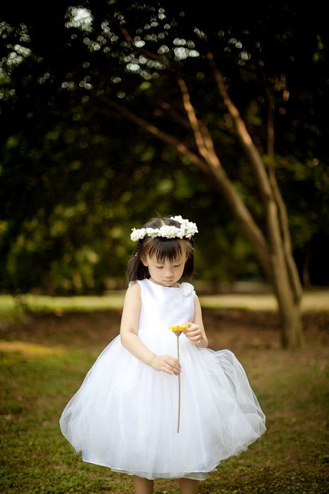 6597228096332435233.jpg