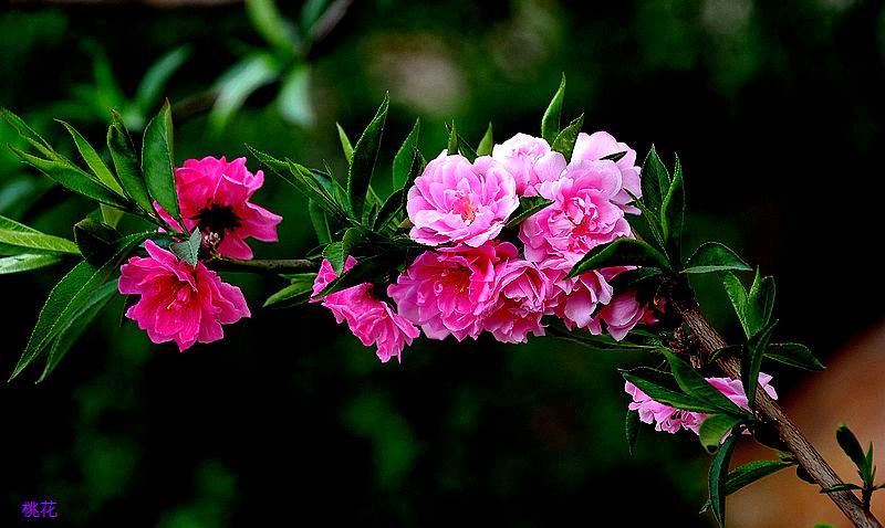 0SC_8817.jpg