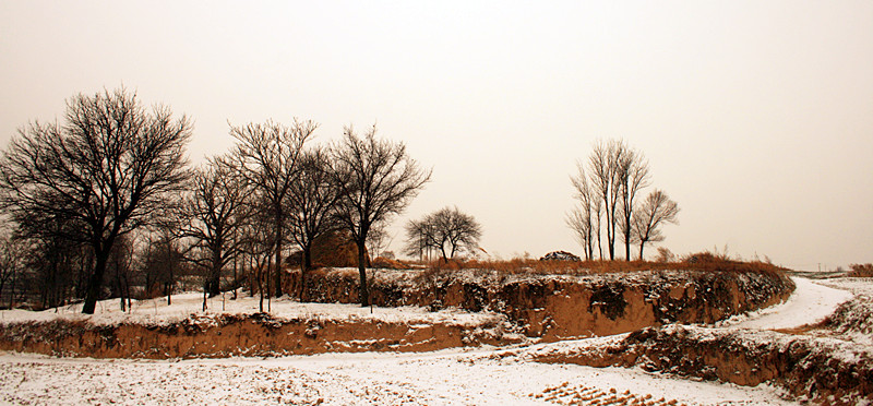 照片 049_副本.jpg