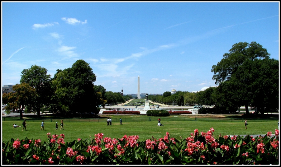 美国DC和NY 128.jpg