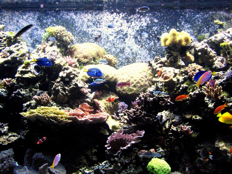 美国DC和NY 141.jpg