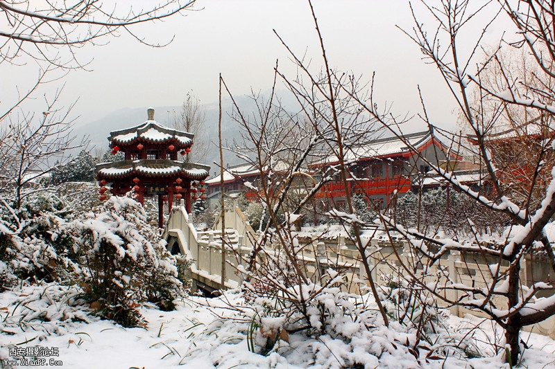 IMG_9055_副本.jpg