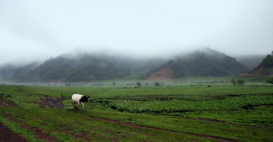 DSC_0113.jpg