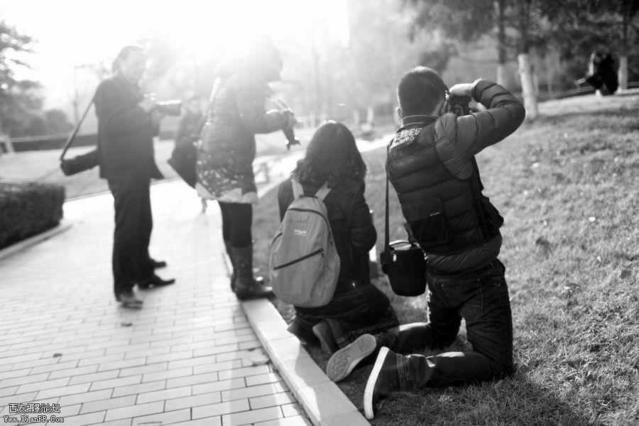 调整大小 IMG_1392.jpg