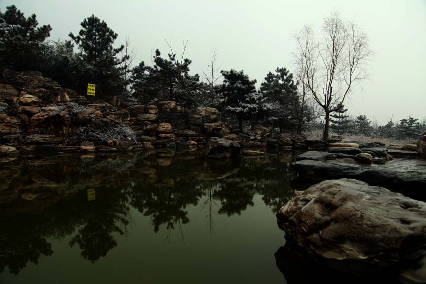 Recovered_JPEG Digital Camera_663.jpg