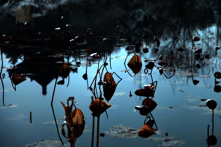 Recovered_JPEG Digital Camera_703.jpg