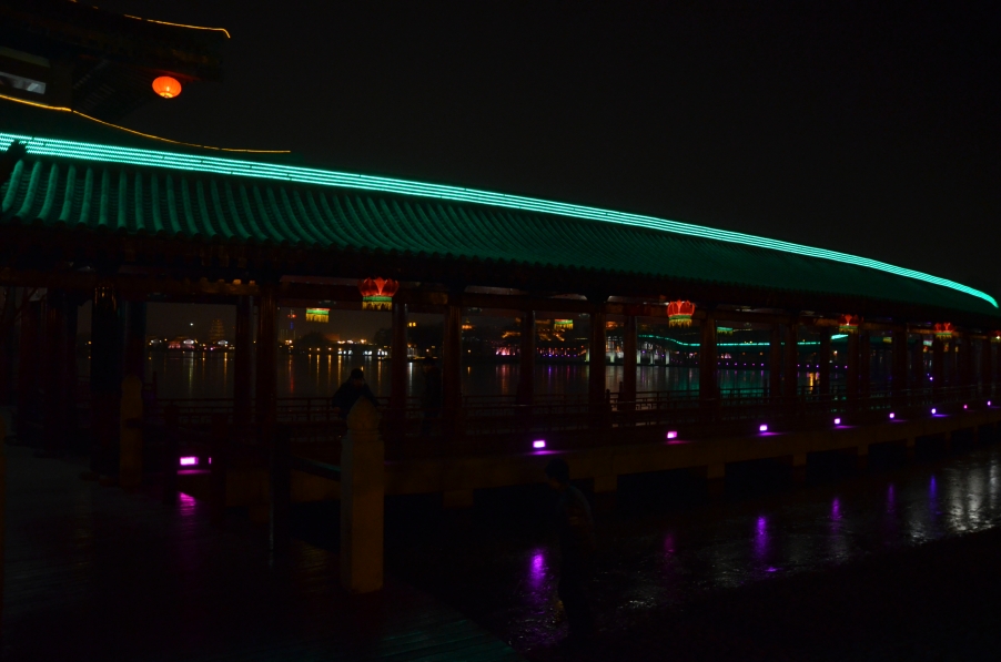 DSC_0553.JPG