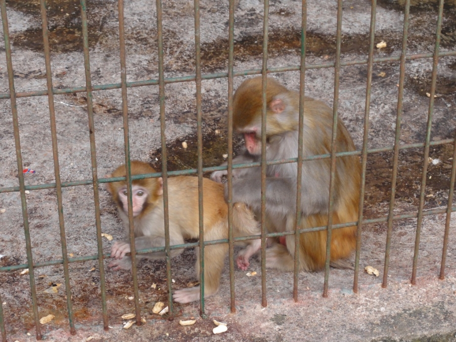 DSC03053.JPG
