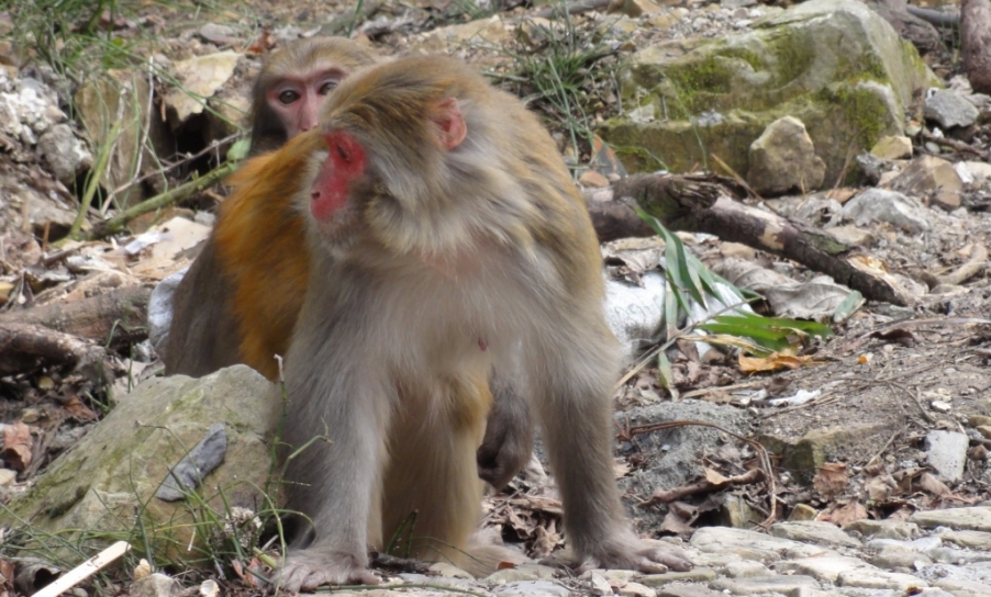 DSC03063.JPG