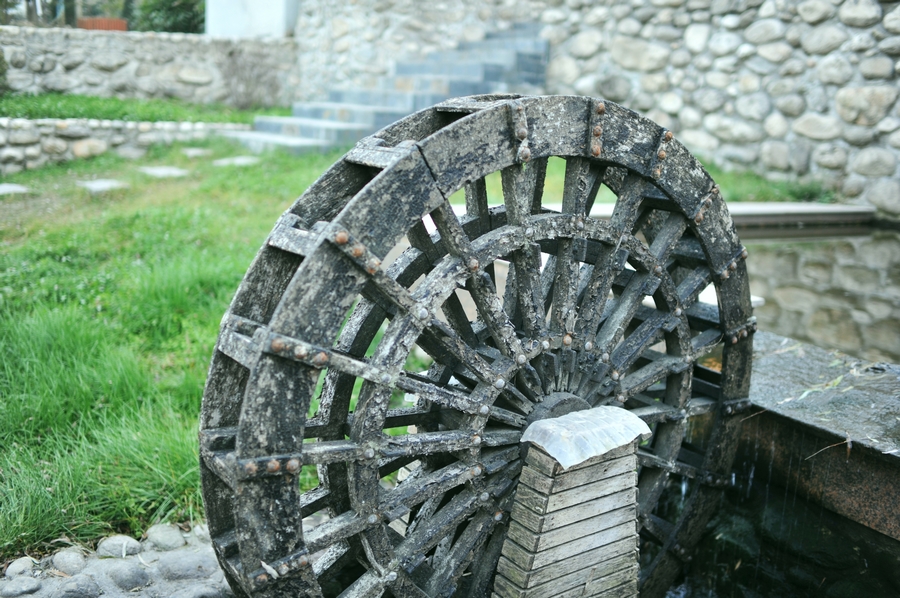 DSC_5046.jpg