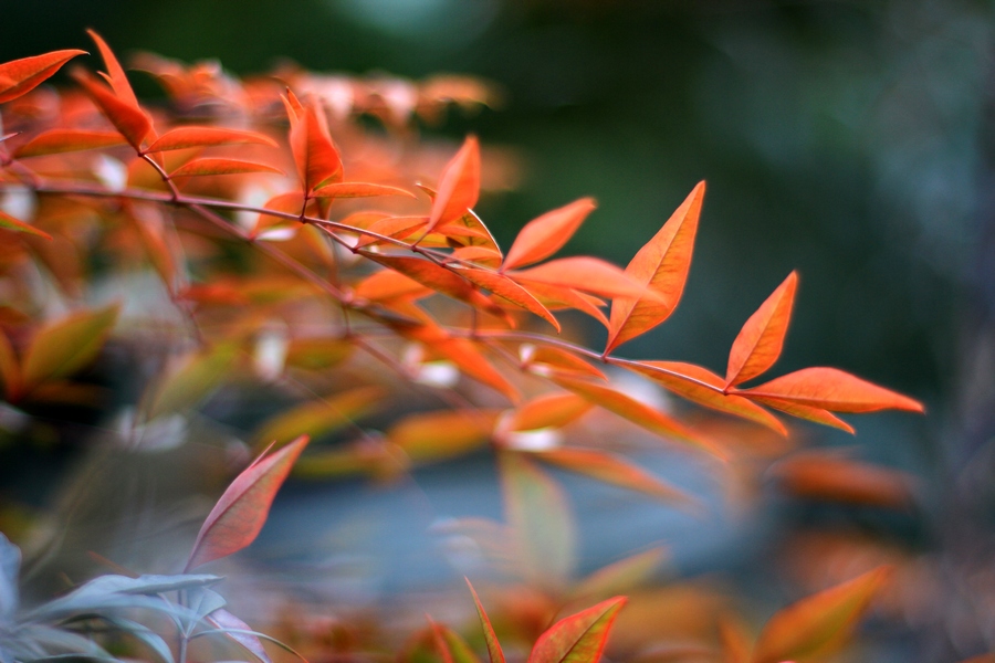 丰庆公园拍摄 007.jpg