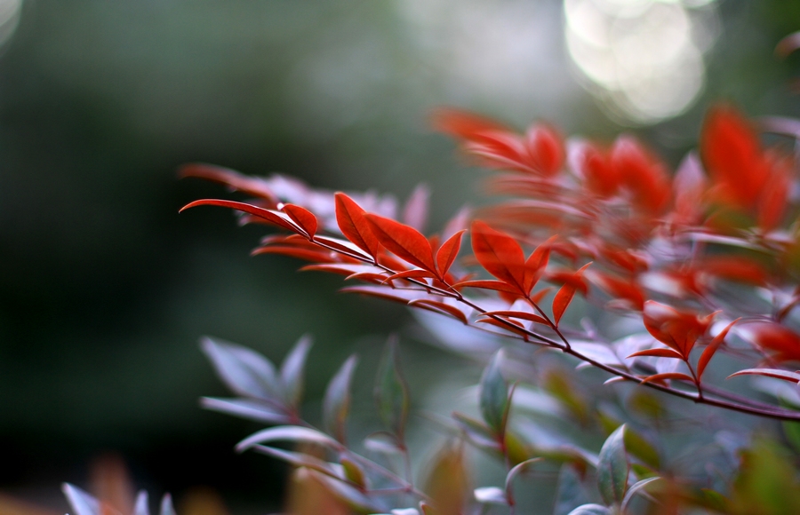 丰庆公园拍摄 022.jpg