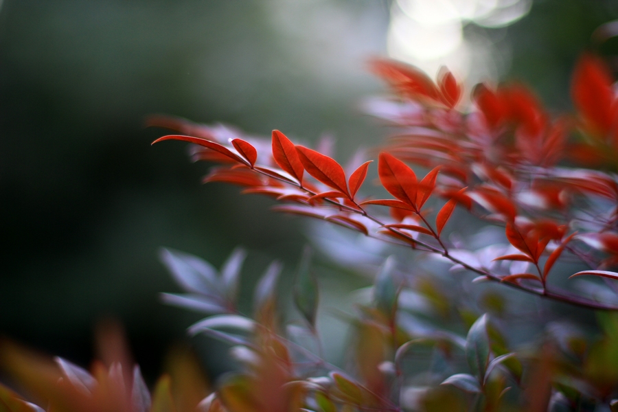 丰庆公园拍摄 023.jpg