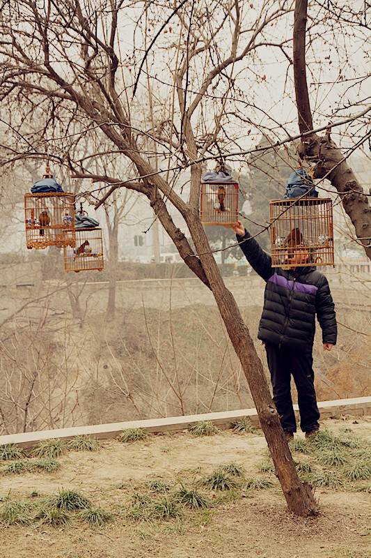 养鸟人 036_副本.jpg
