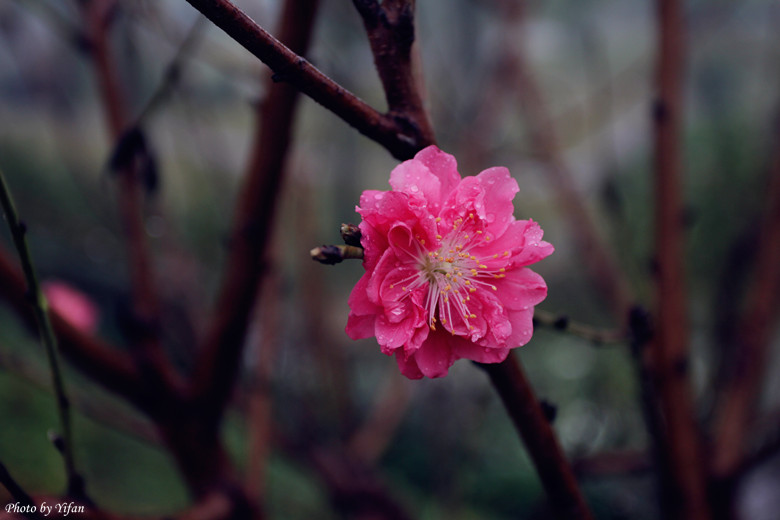 IMG_7867_副本.jpg