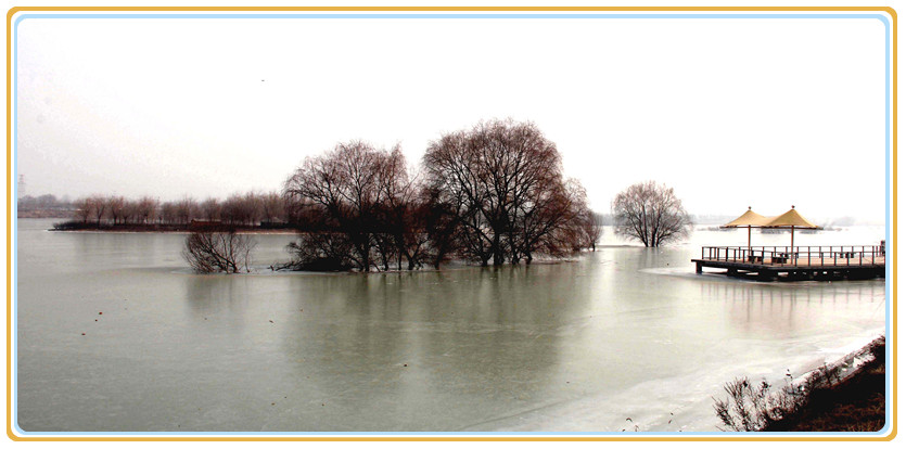 IMG_5401 副本_副本.jpg