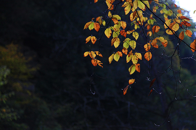 汉中 039_副本.jpg