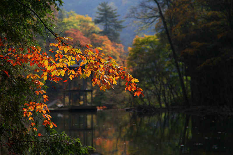 汉中 334_副本.jpg