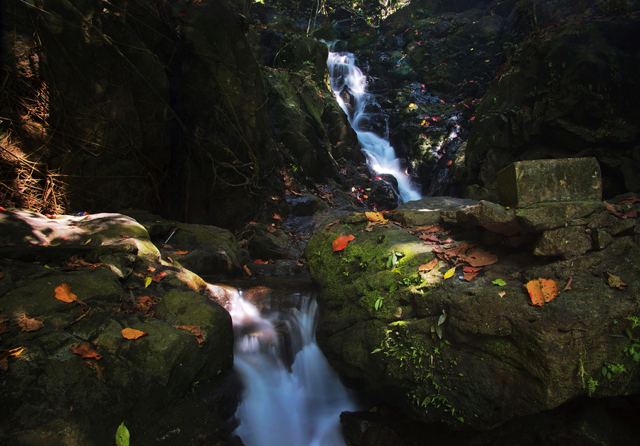 风景-接力.jpg