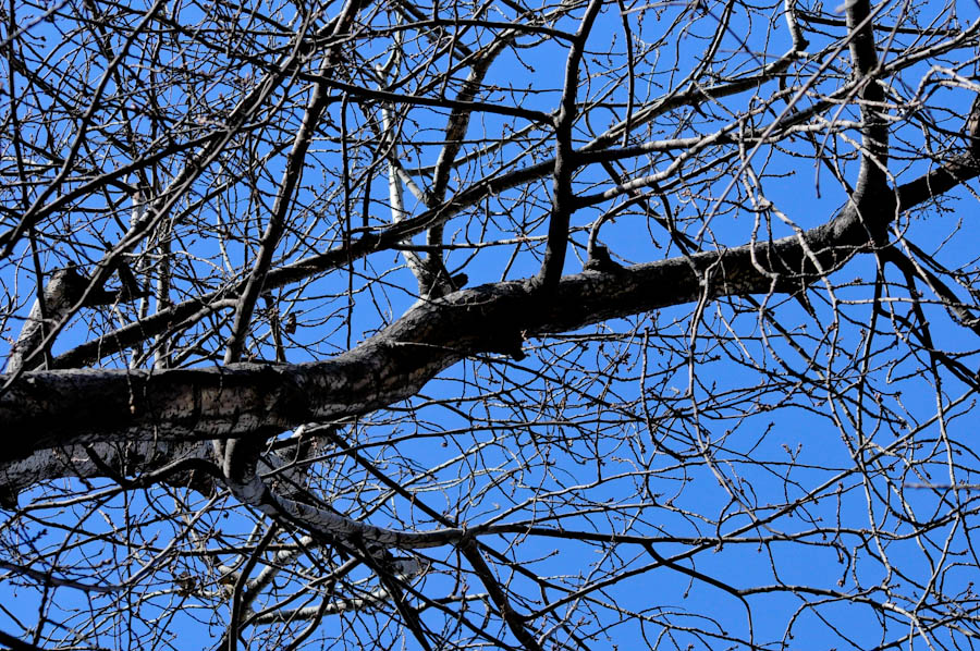 _DSC7597.jpg