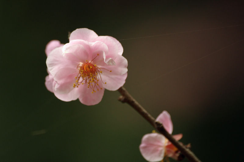 2013.1.20 03815.jpg