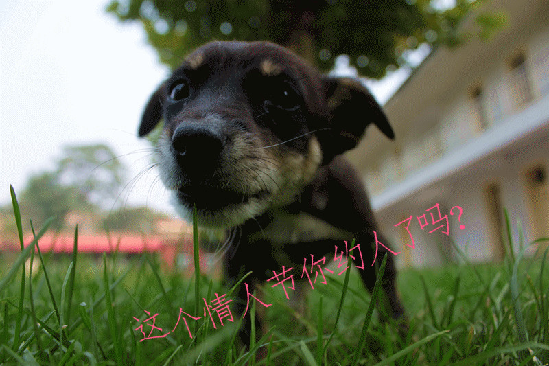 IMG_5125_副本_副本.jpg