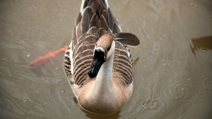 20130213世园会 (42)_副本.jpg