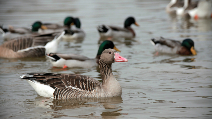 20130213世园会 (50)_副本.jpg