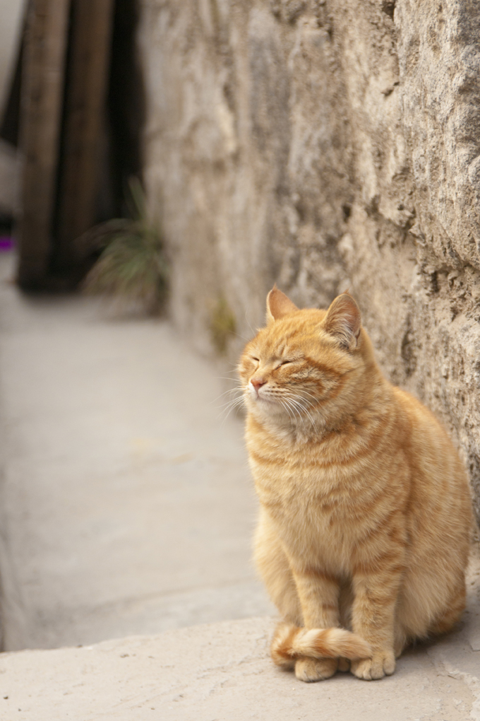 DSC07776.jpg