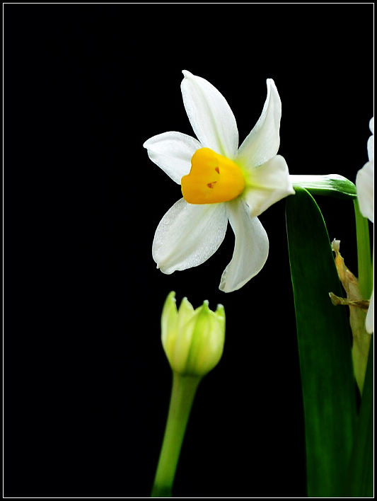 nEO_IMG_DSC_0562.jpg