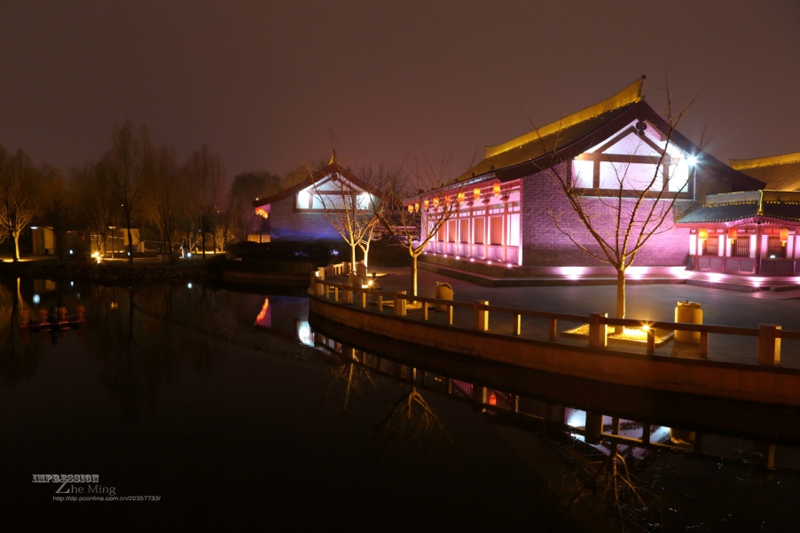 大唐芙蓉园灯展040.jpg