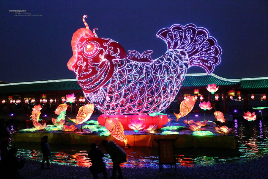 大唐芙蓉园灯展019.jpg