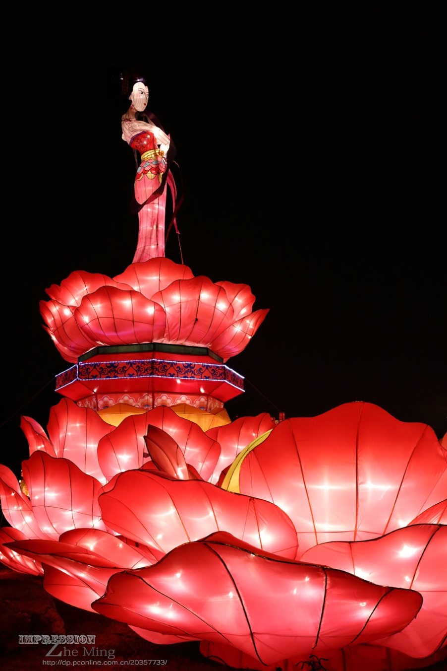 大唐芙蓉园灯展026.jpg