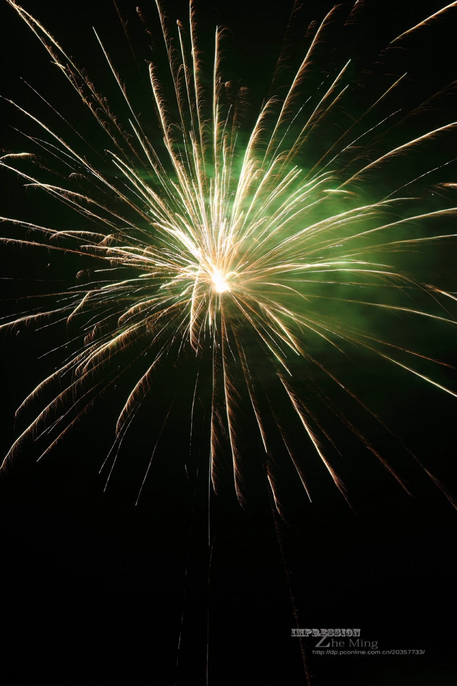 烟花025.jpg