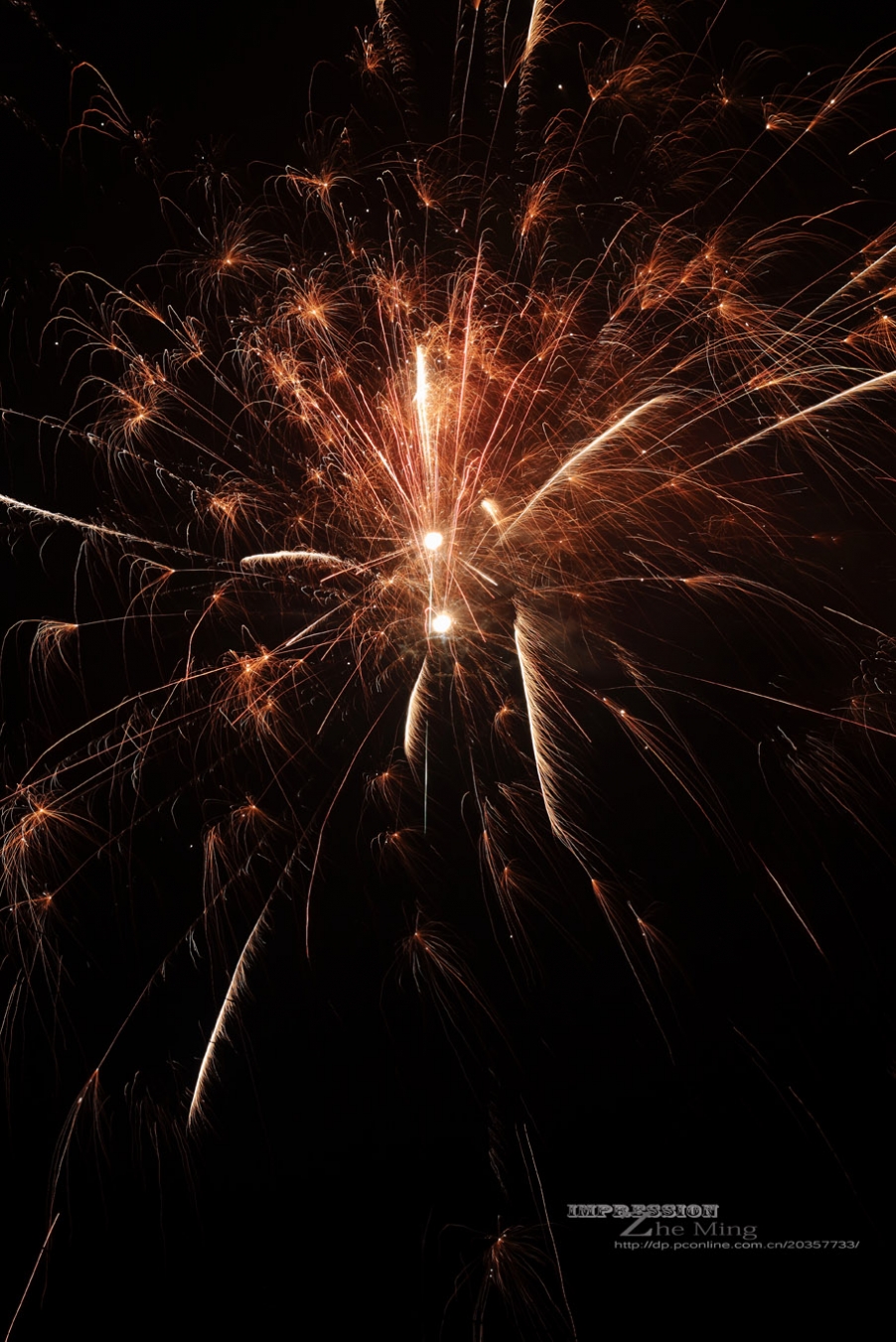 烟花027.jpg