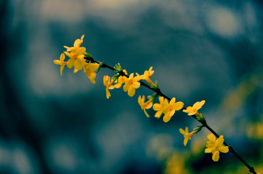 照片 017副本.jpg