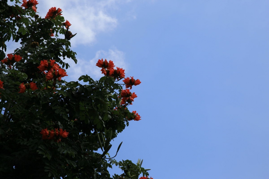 照片 113_副本.jpg