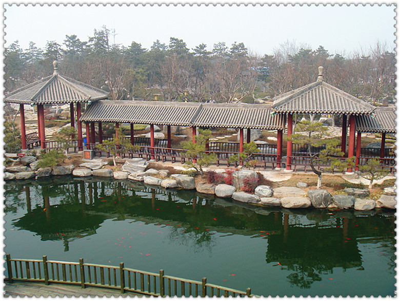 DSC03312_副本.jpg