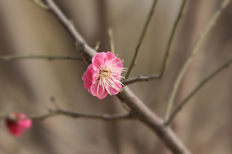 照片 059.jpg