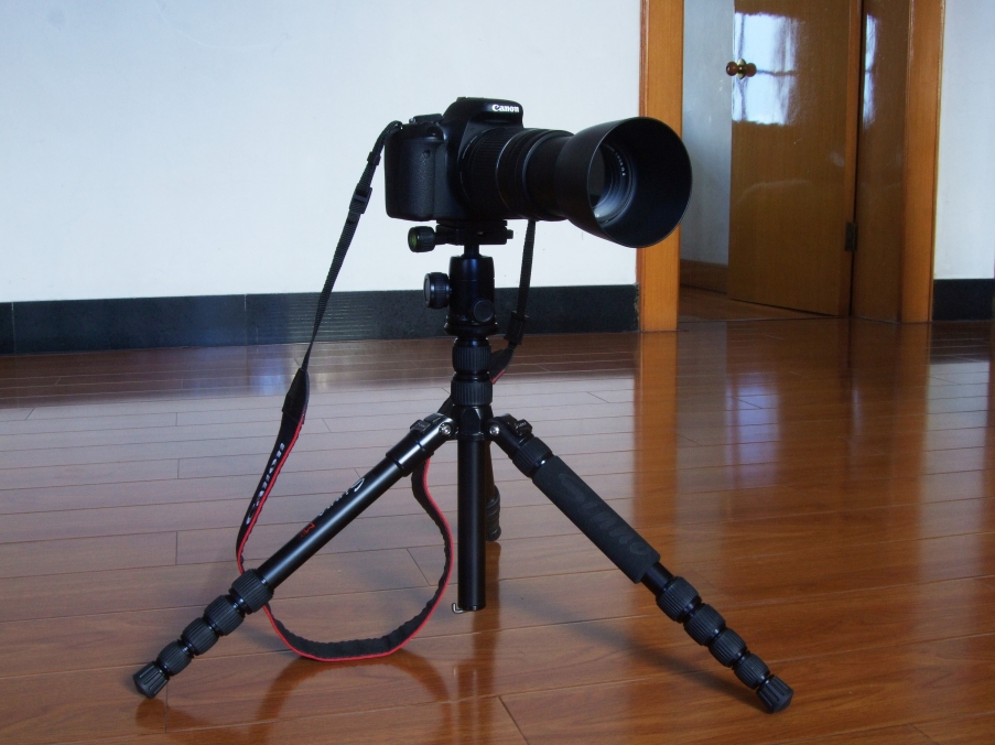 DSCF4593.jpg