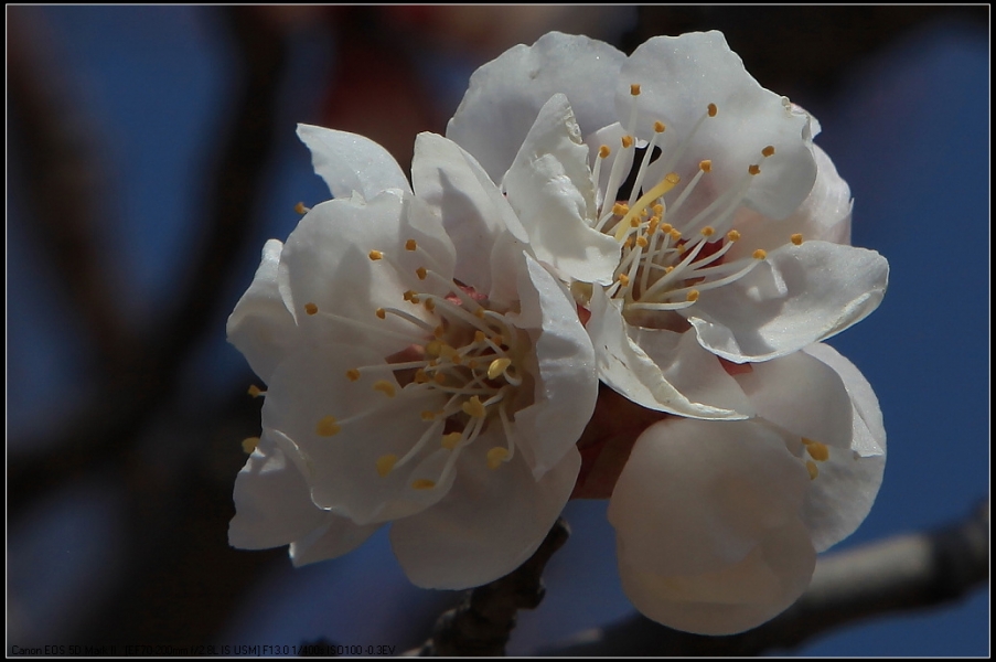 IMG_8703.jpg