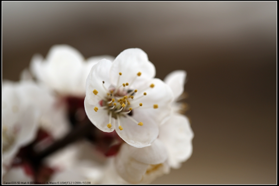 5D3A0060.jpg