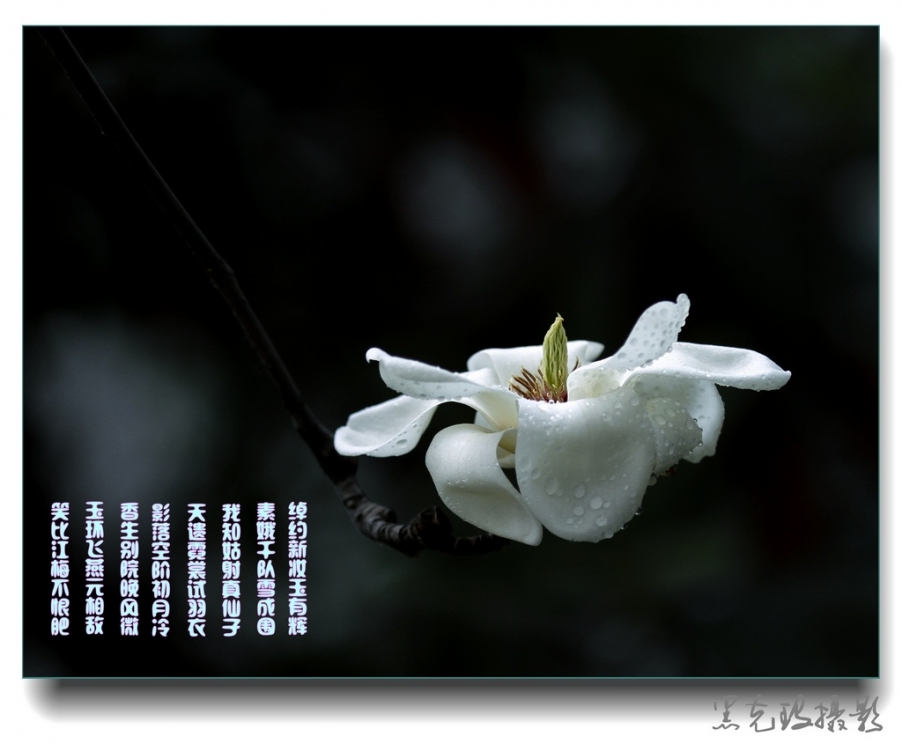 _MG_2592_副本.jpg