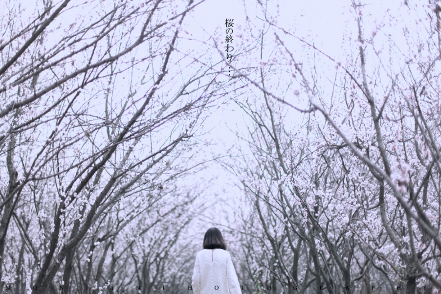 IMG_3951小图 副本.jpg