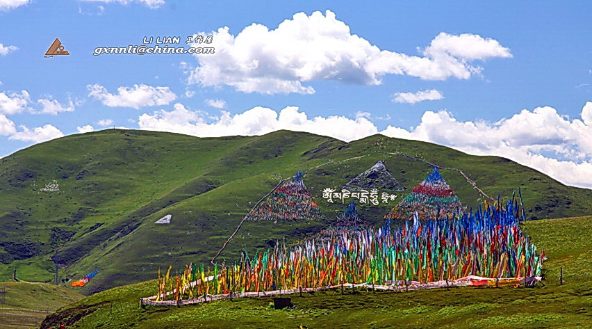 塔公草原 (4).jpg