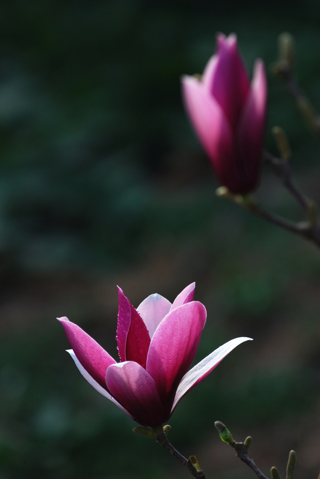 DSC_7973.jpg